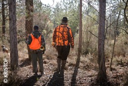 Domaine forestier et territoire de chasse - Expertise bien d'exception