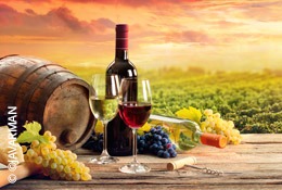 Propriété viticole - Expertise bien d'exception