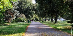 VÉGÉTALISER LA VILLE Lutter contre les vagues de chaleur à Paris