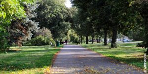 VÉGÉTALISER LA VILLE Lutter contre les vagues de chaleur à Paris